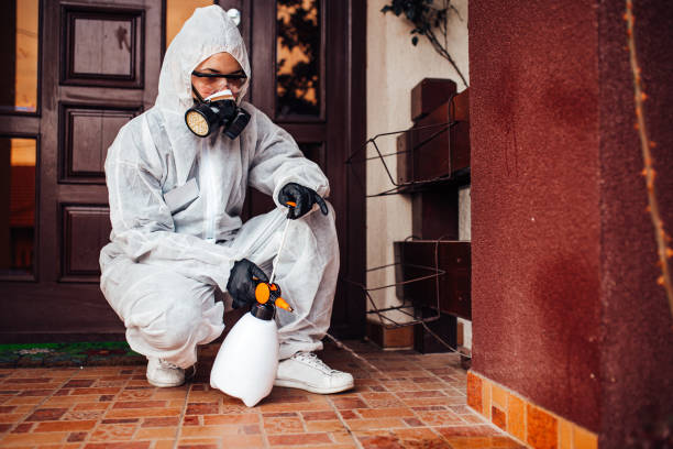 Attic and Crawl Space Rodent Treatment in Oakland
